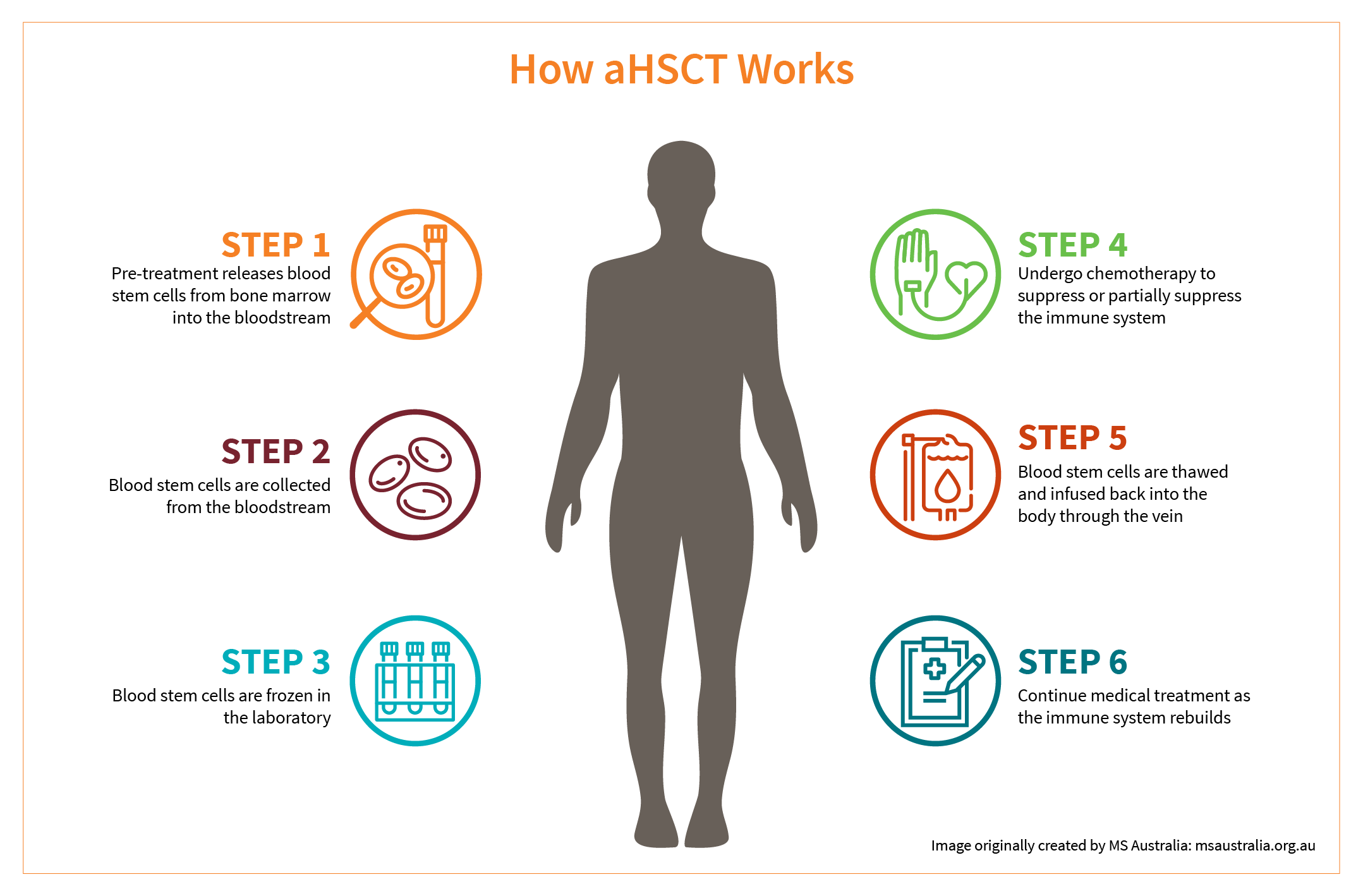 How aHSCT Works in Six Steps 1: Pre-treatment releases blood stem cells from the bone marrow into the bloodstream 2: Blood stem cells are collected from the bloodstream 3: Blood stem cells are frozen in the laboratory 4: Undergo chemotherapy to remove or partially remove the immune system 5: Blood stem cells are thawed and infused back into the body through vein 6: Continue medical treatment as the immune system rebuilds