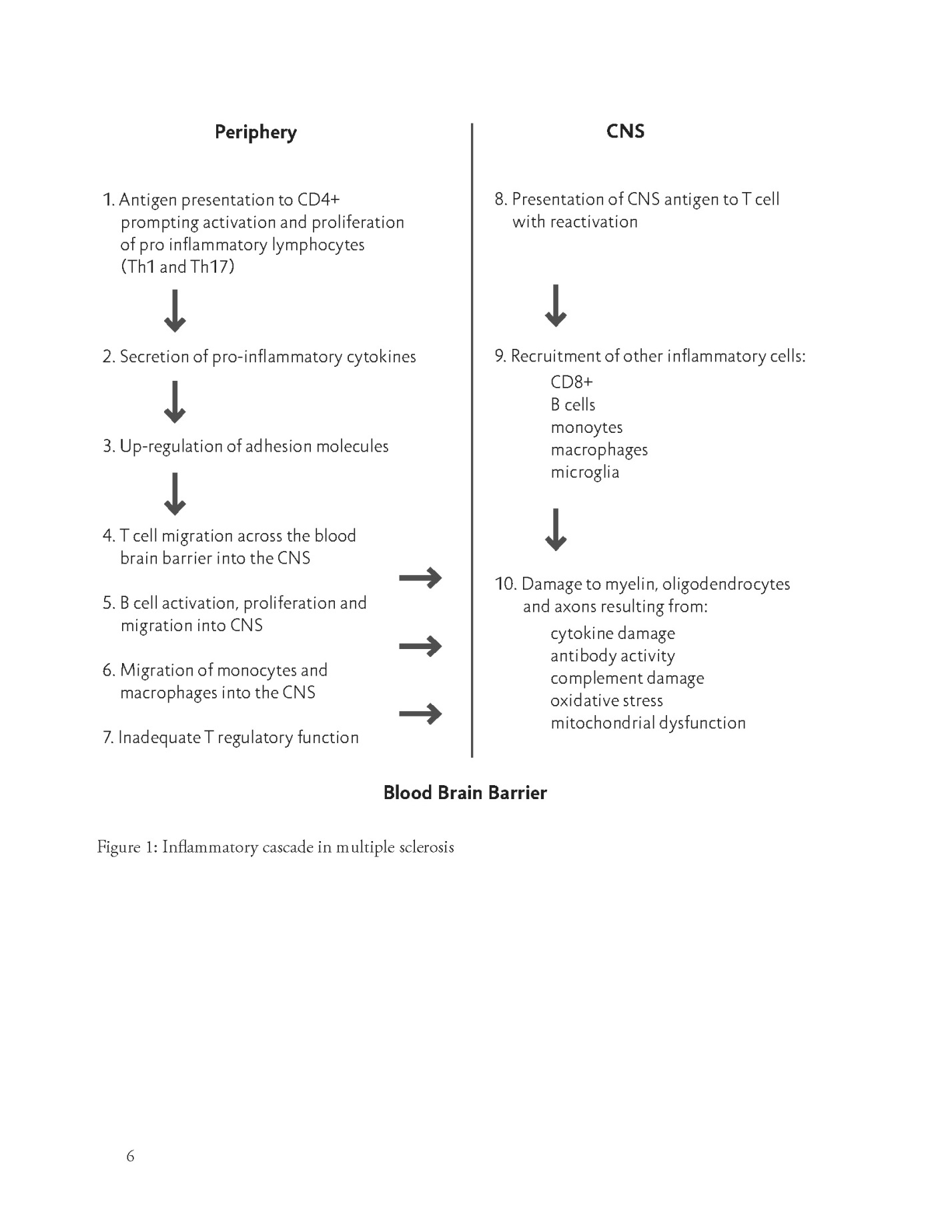 Figure 1: Inflammatory cascade in multiple sclerosis